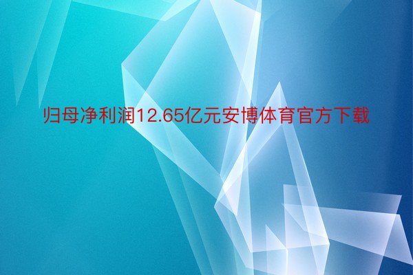 归母净利润12.65亿元安博体育官方下载